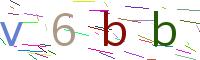 Verify Code