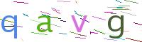 Verify Code