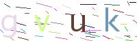 Verify Code