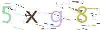 Verify Code