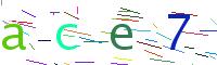 Verify Code