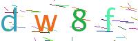 Verify Code