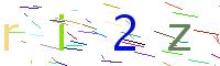 Verify Code