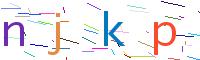Verify Code