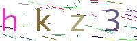 Verify Code