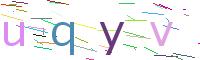Verify Code