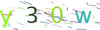Verify Code